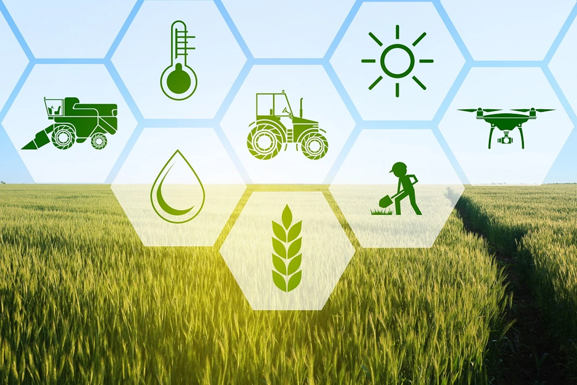 Agri Start-ups and Students icon