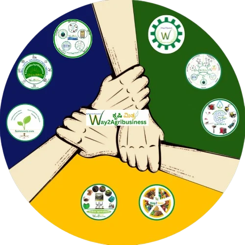 Online Services illustration showing digital connectivity